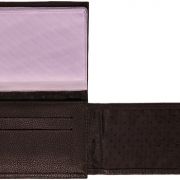 Carteira para Vigilância Sanitária com brasão da República