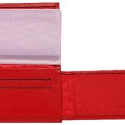 Carteira para Vigilância Sanitária com brasão da República