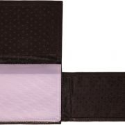 Carteira para Vigilância Sanitária com brasão da República