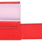 Carteira para Agente Segurança com brasão da República